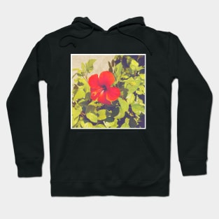 Pretty Red Flower with green leaves nature lovers beautiful photography design Hoodie